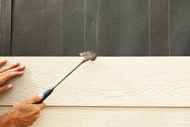 Best Storm Damage Siding Repair  in Clinton, MS